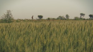 Sean Fletcher, the lead character of the film, on a lonely walk in the fields of Javat. A still from the 'Reconnection', a multi-award winning film.