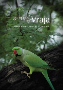 Glimpses of Vraja DVD. A series of non-narrative mood videos of different places and seasons of Vraja.